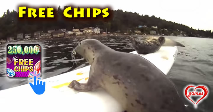 surf-seal
