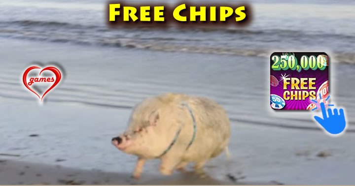 traveling-pig