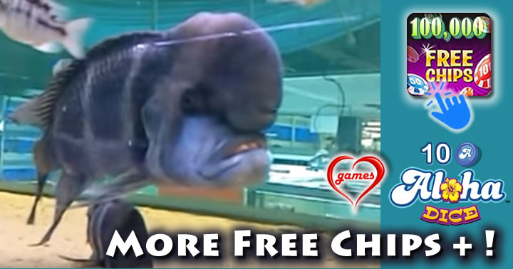 ugly-tank-fish