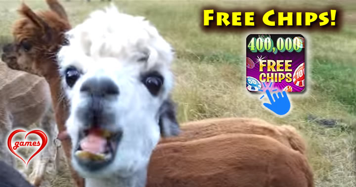 alpaca-apple-2
