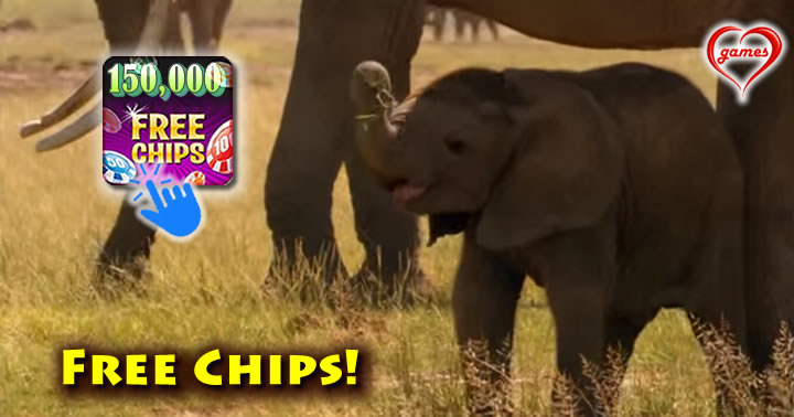 baby-elephant-chasing-birds