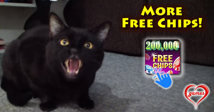 black-cat-sings
