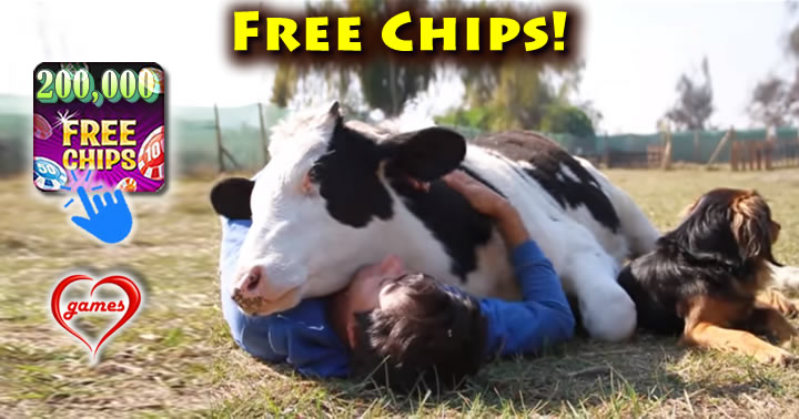 cow-love