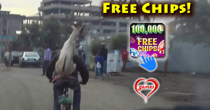 goat-bicycle