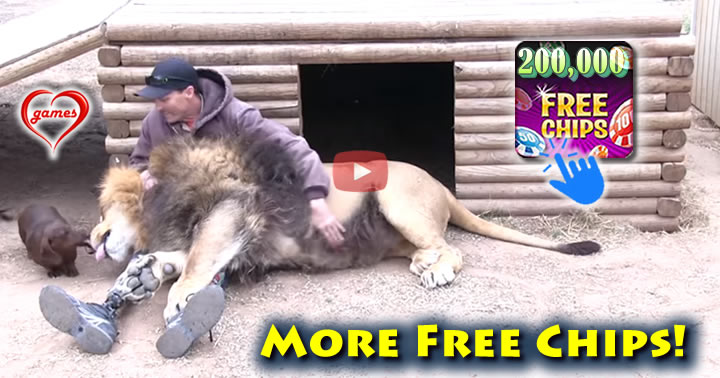 lion-man-dogs