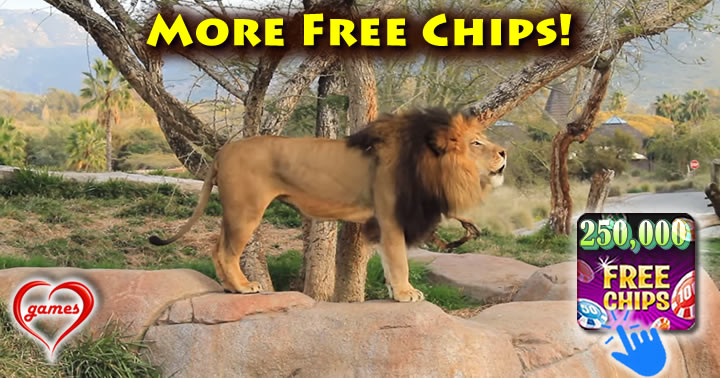 lion-roar2