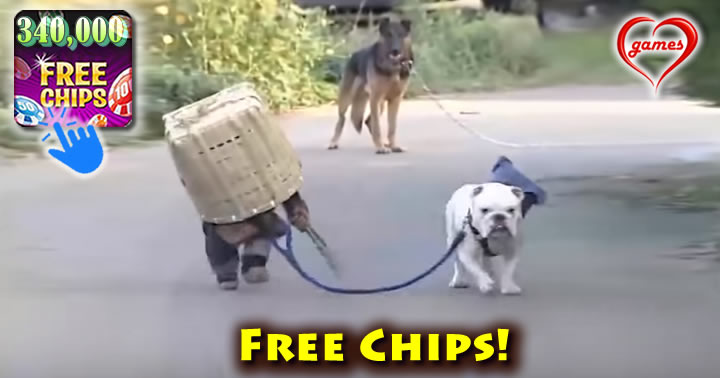 monkey-dog