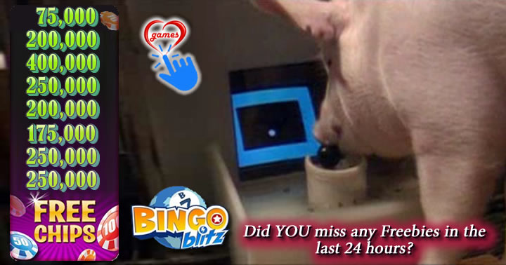 pig-game
