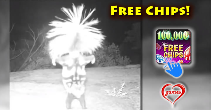 skunk-handstand