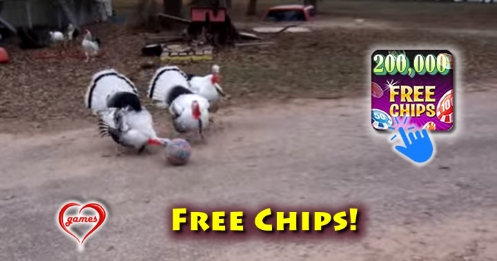 turkey-soccer