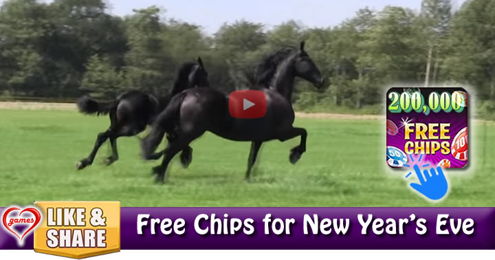 black-horses