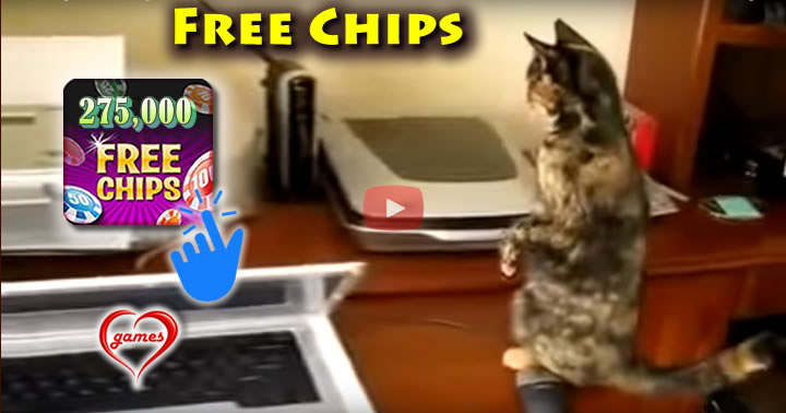 cat-v-printer