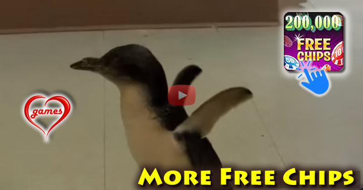 cookie-penguin2