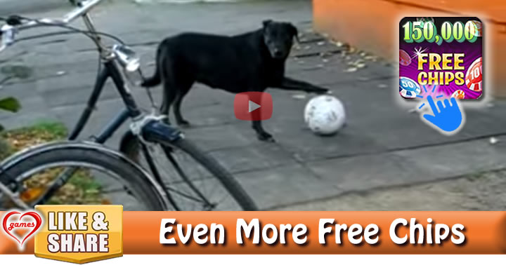 dog-soccer