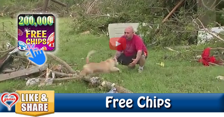 dogfound