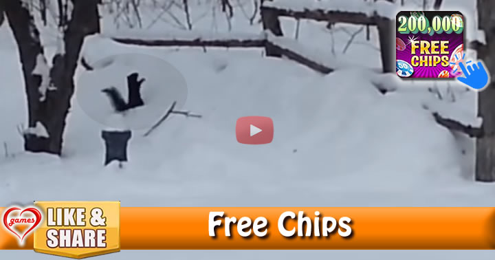 drunk-squirrel