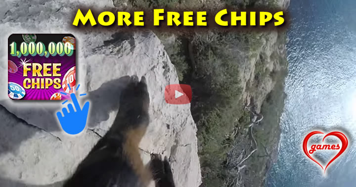 goat-go-pro2
