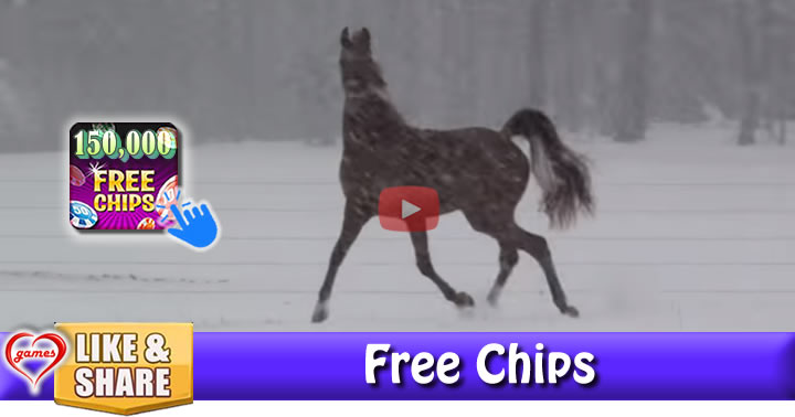 horse-snow