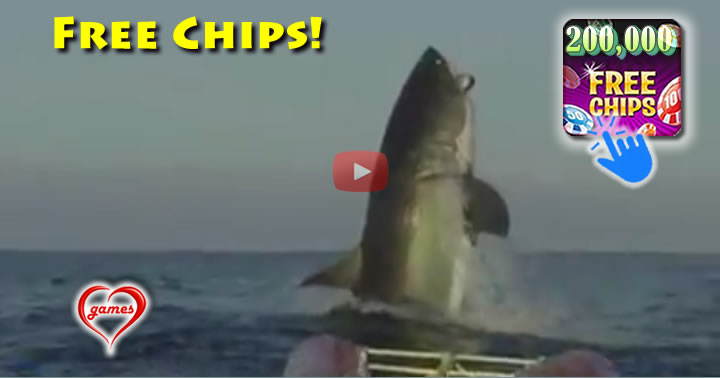 mega-shark