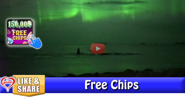 northern-lights-whales
