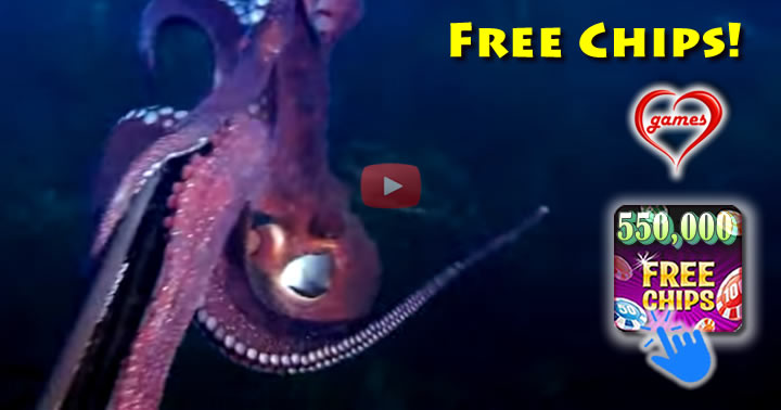 octopus-thief