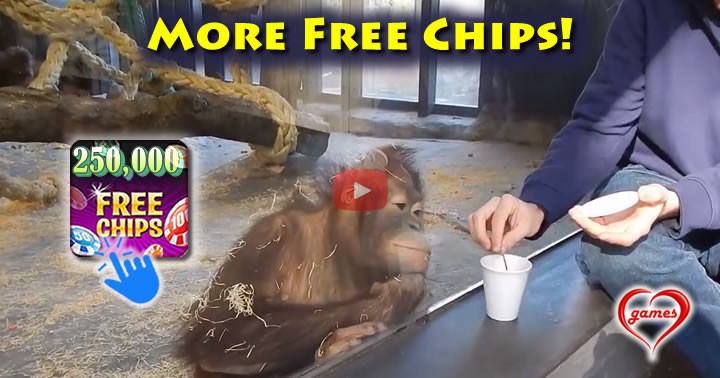 orangutan-laugh