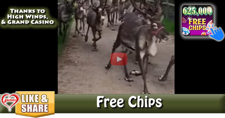 reindeer-running2