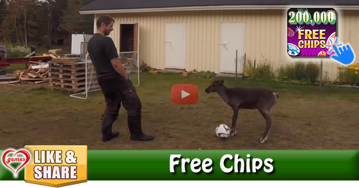reindeer-soccer