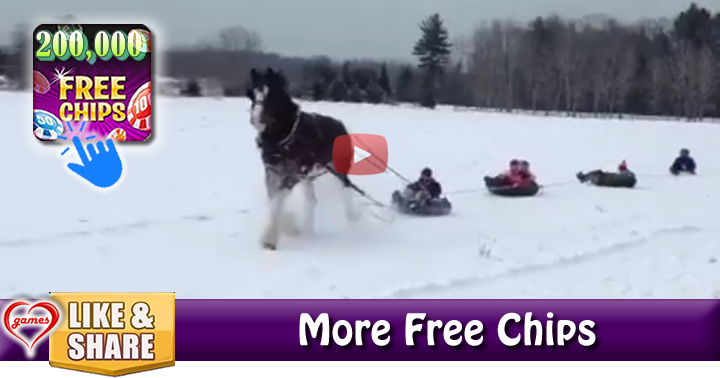 horse-tubing2