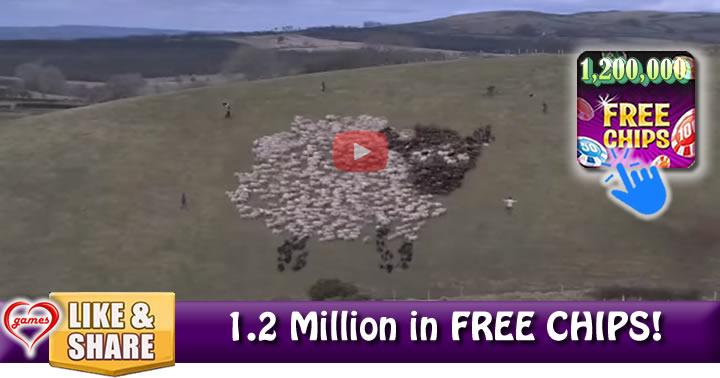 led-sheep