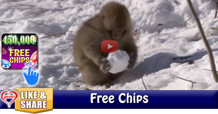 monkey-snow-ball-2