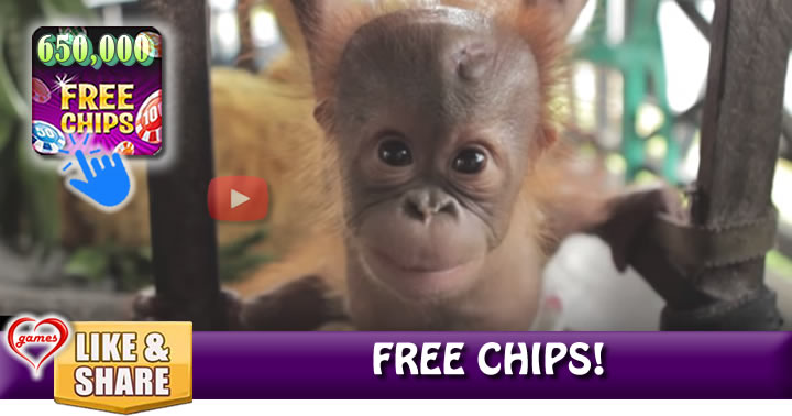 orang-babies