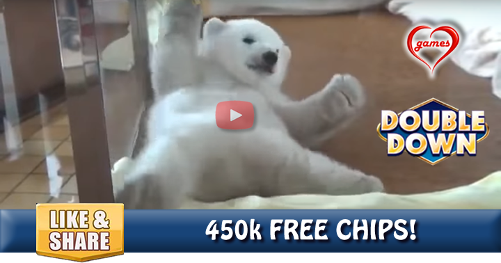 polar-bear-get-up-3