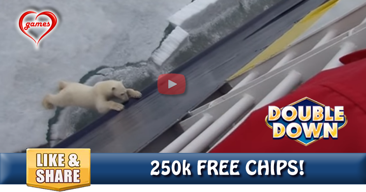 polar-bear-push2