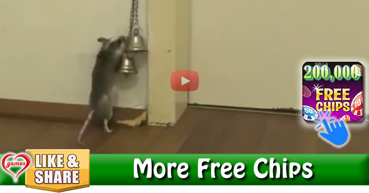 rat-bell