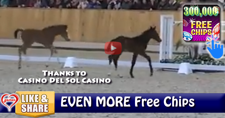 twin-horse