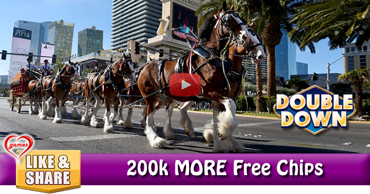 clydesdale-LV-2