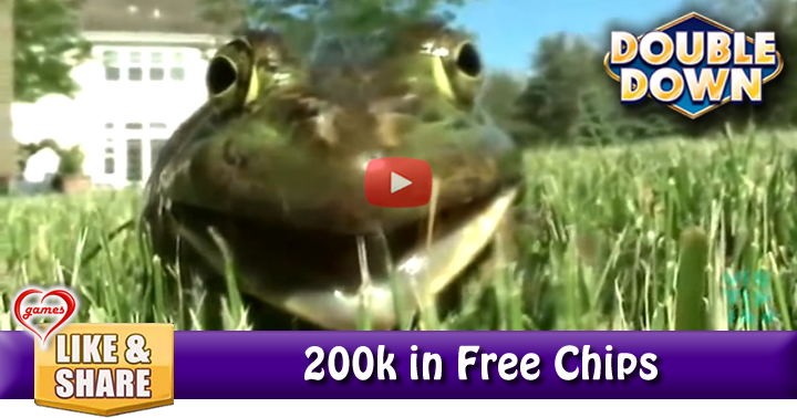 frog-screams-2