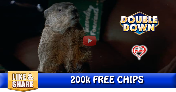 groundhog-2016-3