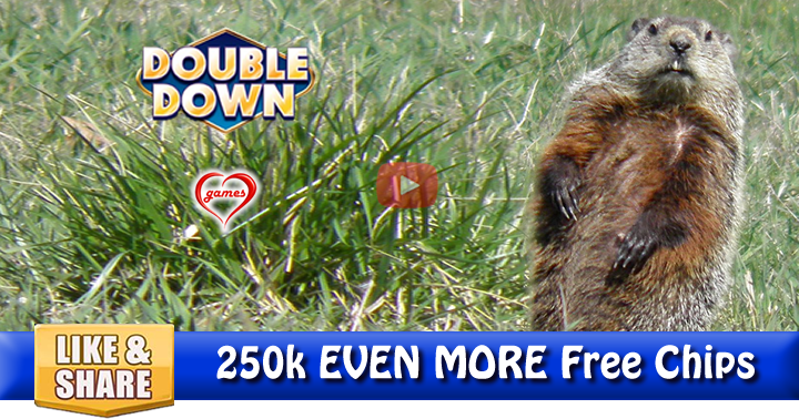 groundhog-3-2016-2