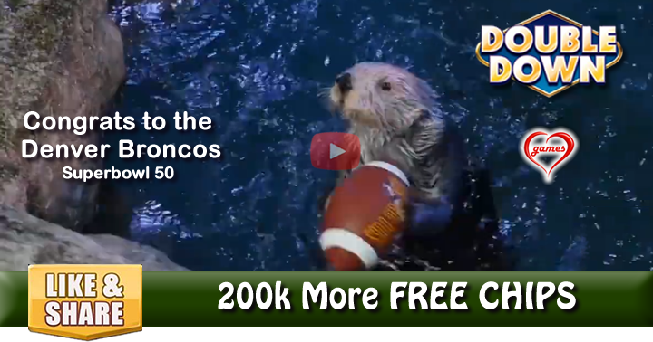 otters-superbowl-3