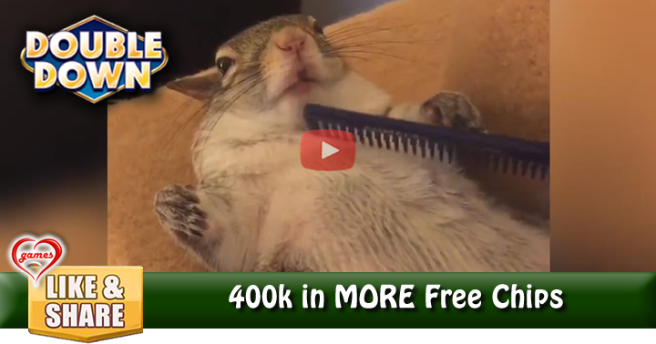 squirrel-spoiled-2
