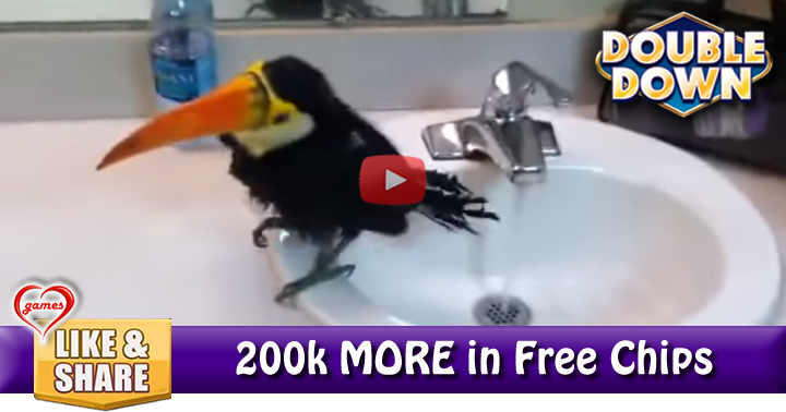 toucan-sink-bath-2