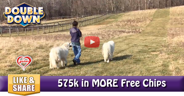 walk-farm-3