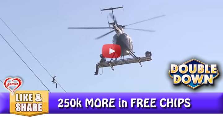 bird-rescues-bird-2