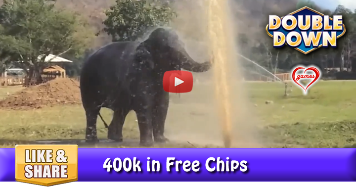 elephant-sprinklers-3