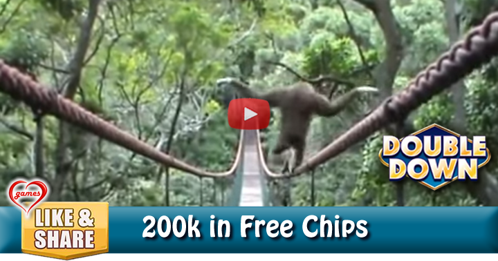 gibbons-tight-rope-2