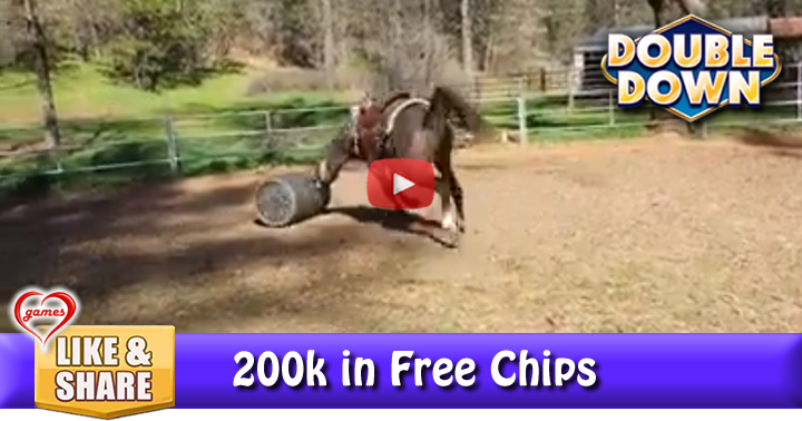 horse-n-barrell-2