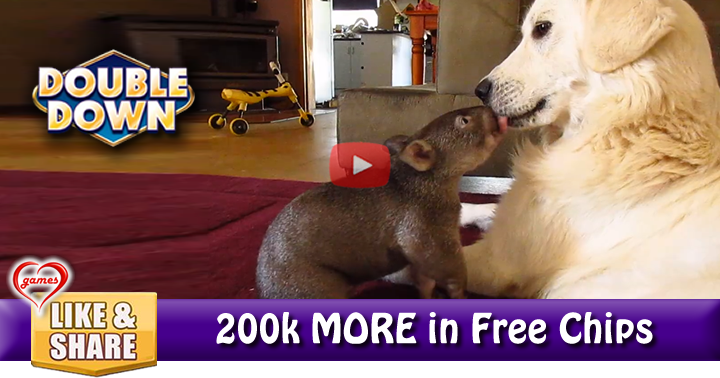 joey-n-dog-3
