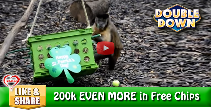 monkey-gift-2